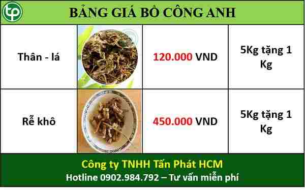 Địa chỉ bán bồ công anh tại An Giang uy tín