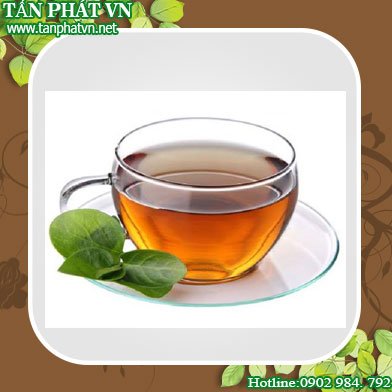 phân phối sỉ lẻ dây thìa canh tại Bình Thạnh uy tín
