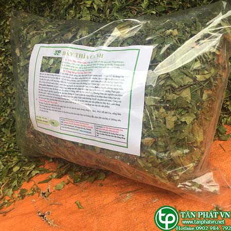 phân phối sỉ lẻ dây thìa canh tại Thủ Đức giá tốt