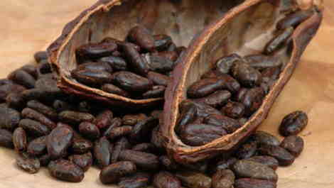Tác dụng thần kỳ của cacao tốt cho sức khỏe