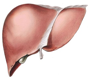 vị trí di căn chủ yếu