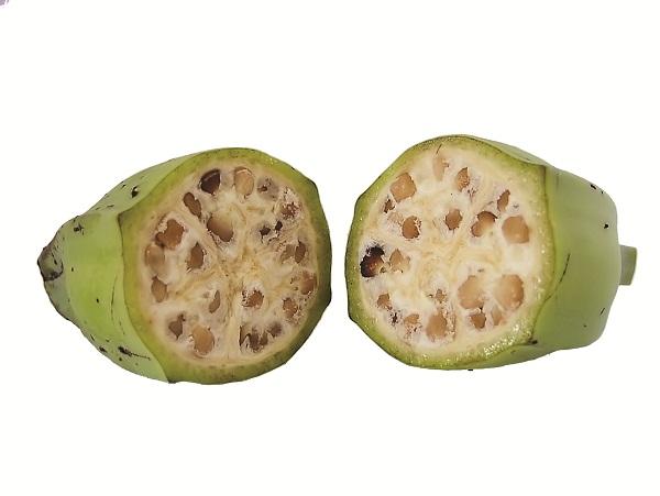 bài thuốc chữa sỏi thận