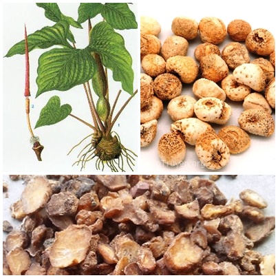 củ chóc